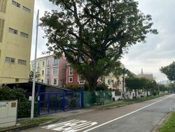 Cheong Chin Nam Road (D21), Semi-Detached #458061351